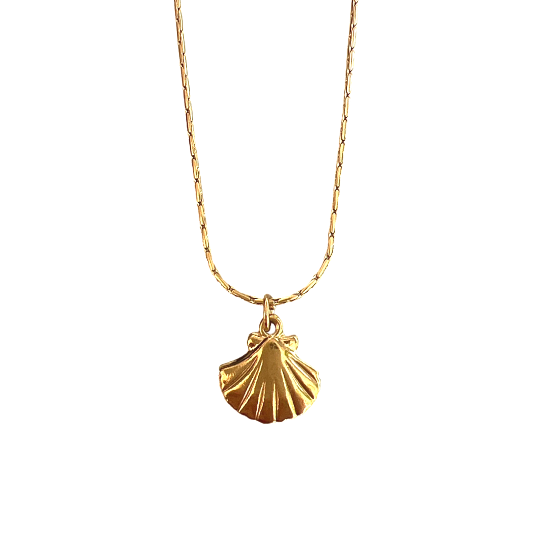 Schelp ketting.